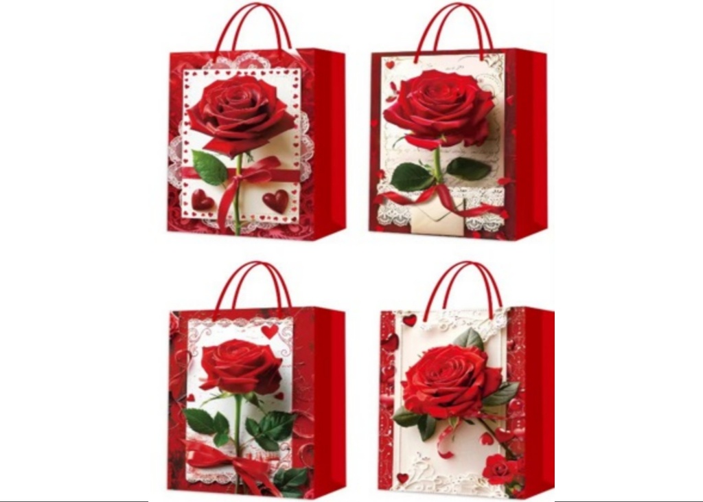 BOLSA MADRE R 12PZ 24X18X8.5CM CXB-480UD.